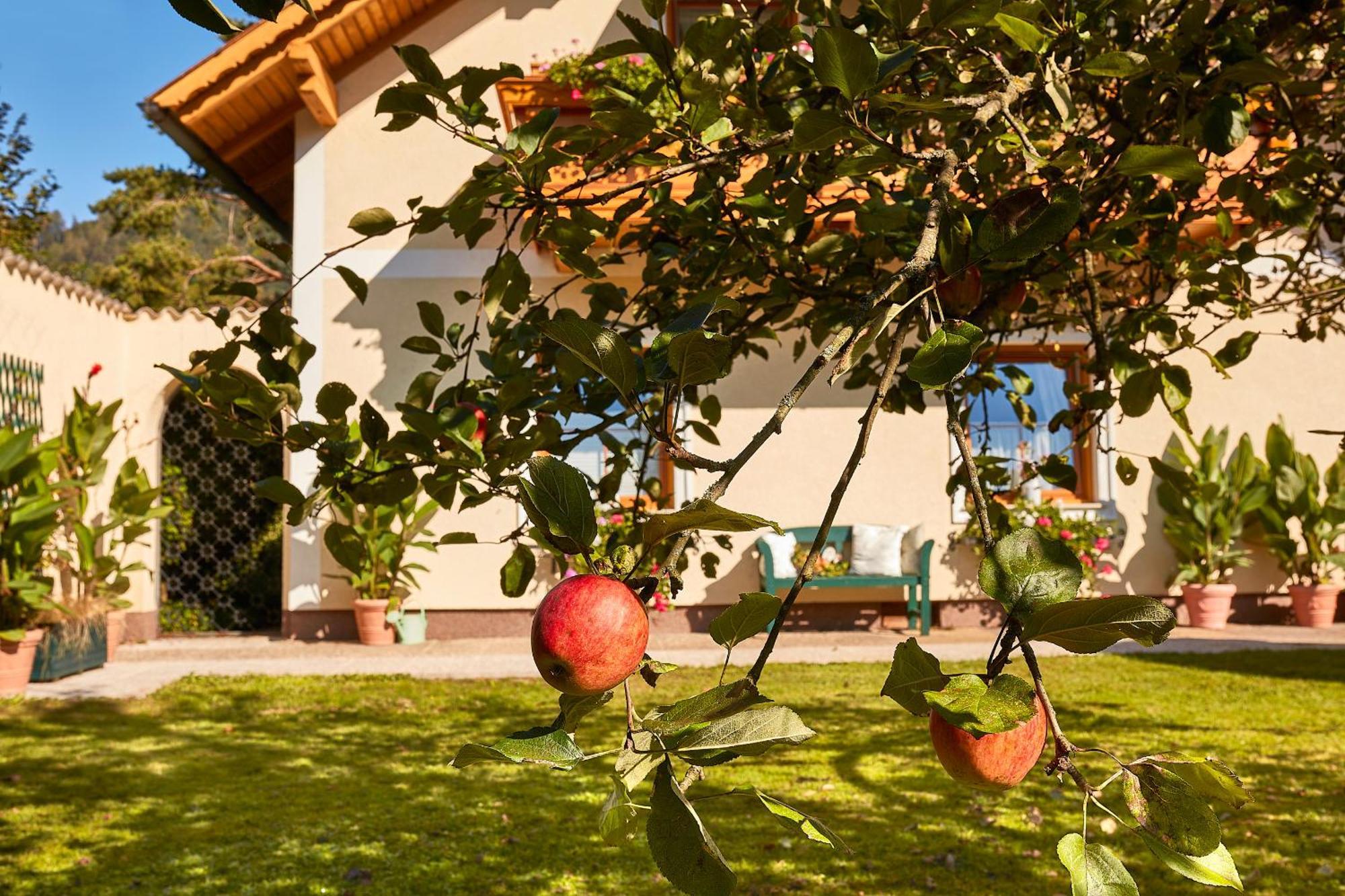 Ferienhaus Zur Maultrommel Molln Exterior foto